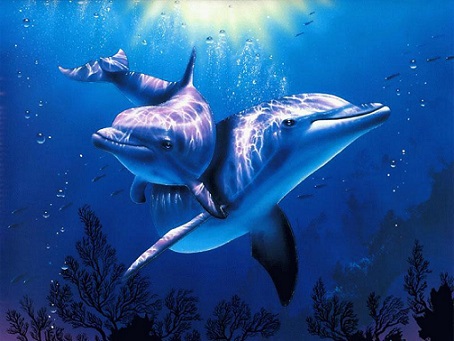 Ты попал в мои сети...