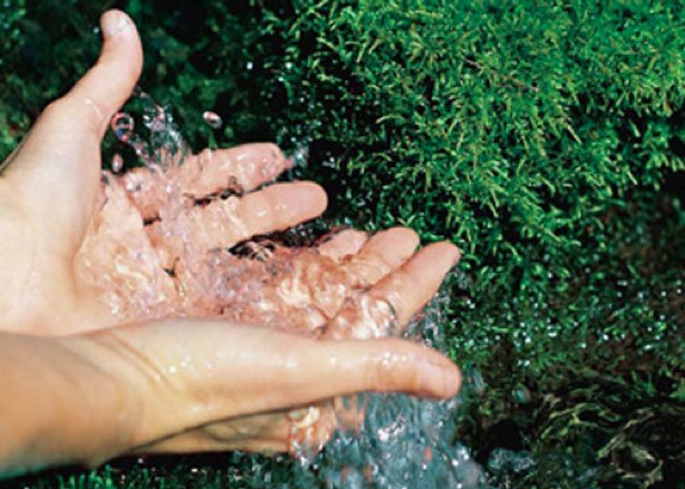 Чистая вода