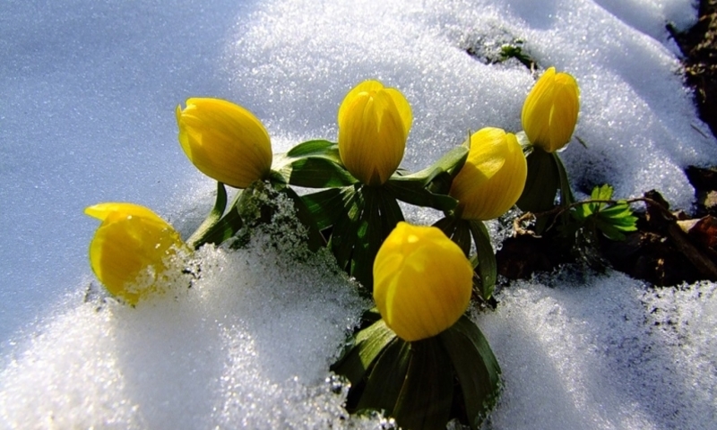 Без тебя я десять лет...