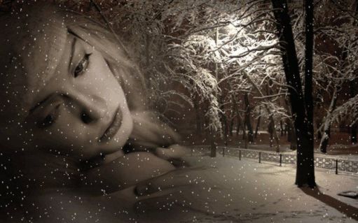 Ночное безмолвие