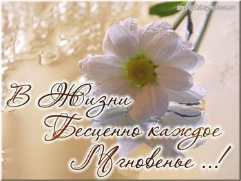 Picture background