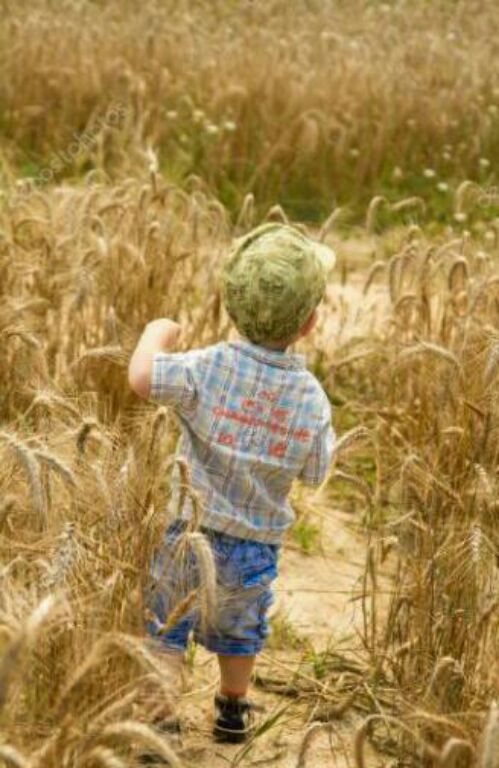 Благодарные сердца