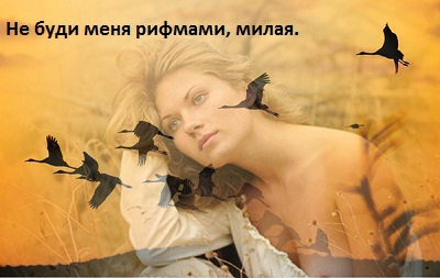 Миклош Форма Не буди меня рифмами