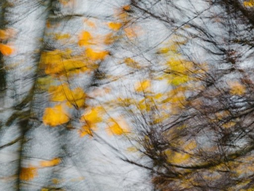 Неотвратимое