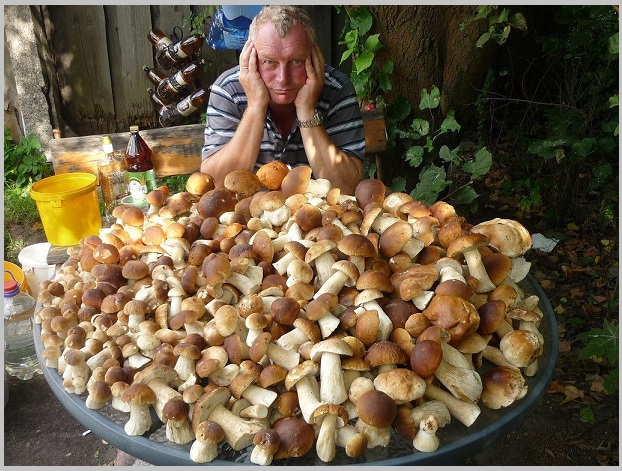 Не меньше, чем твоих горячих поцелуев!