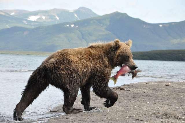 3245 Попробуй убери