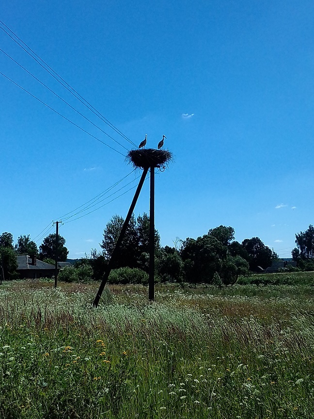 Средь счастья долгих перелётов