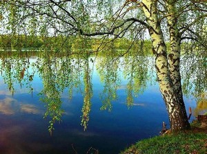 Есенинская русь