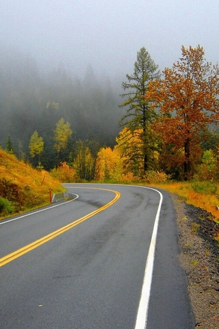 Ты увез мою печаль