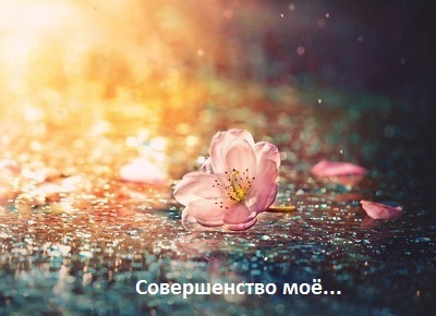 Миклош Форма Совершенство моё