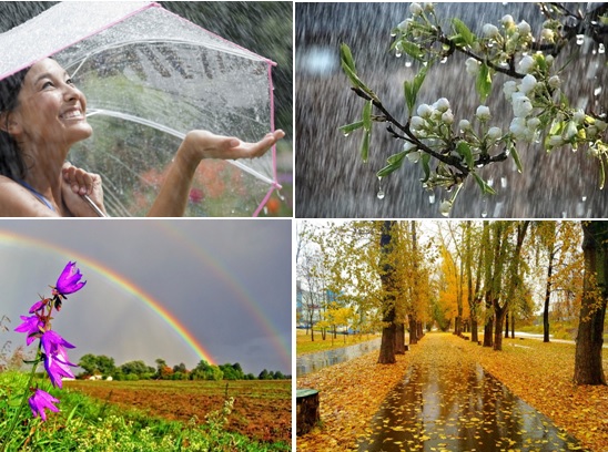 Почему ругают дождь?