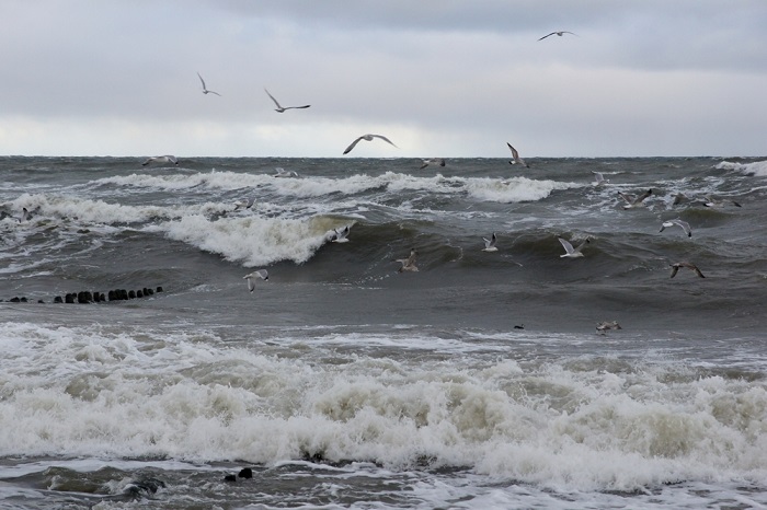 Балтийское море