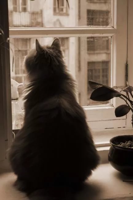 Надеюсь таки. Большие цитаты. Цитаты курпатова. Ваш муж бегает за молодыми девушками. Анекдоты про сарочку смешные.