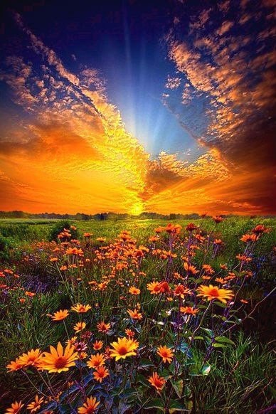 Время летит. Август