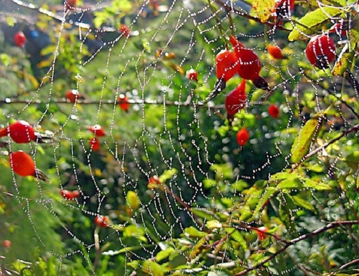 Время не терпит. Осень