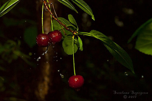 Падал фонарный свет...