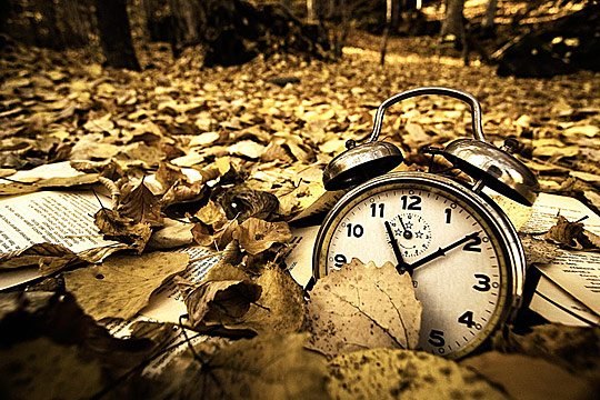 Спектакль окончен...