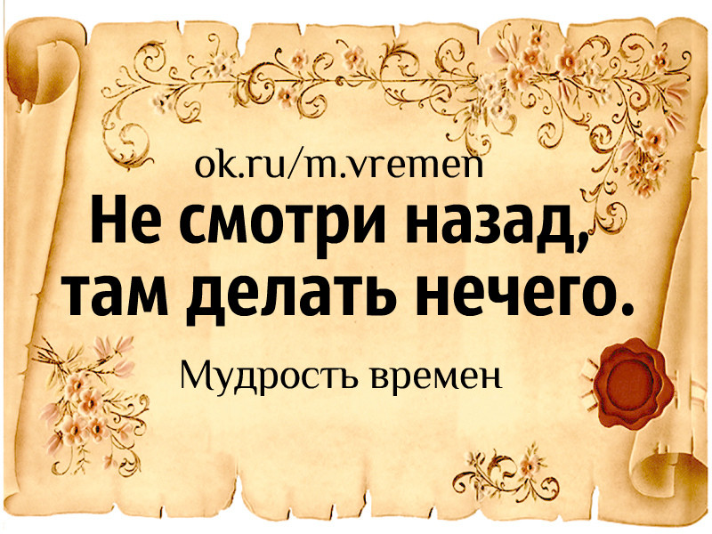 Философские высказывания. Мудрость картинки. Высказывания о мудрости. Мудрость черпая. В истории мы черпаем мудрость.