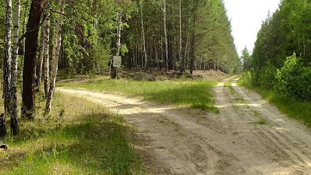 Растекаются, разбредаются