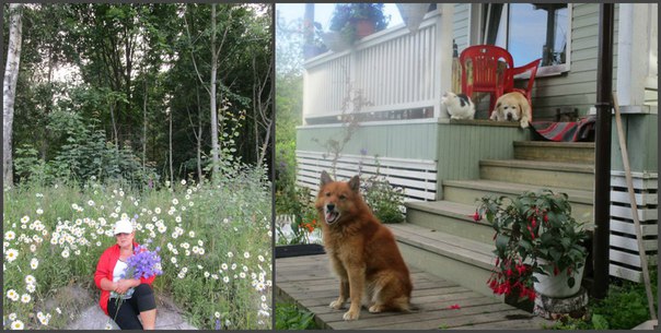 С добрым утром милая подружка...