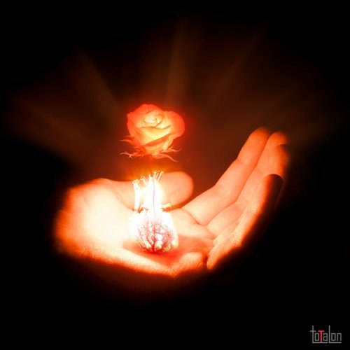 Любимый цветок