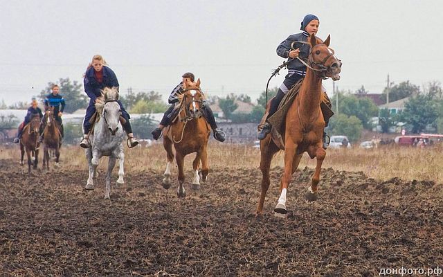 Всадник на скачках