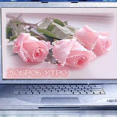 Тебе - ночная серенада