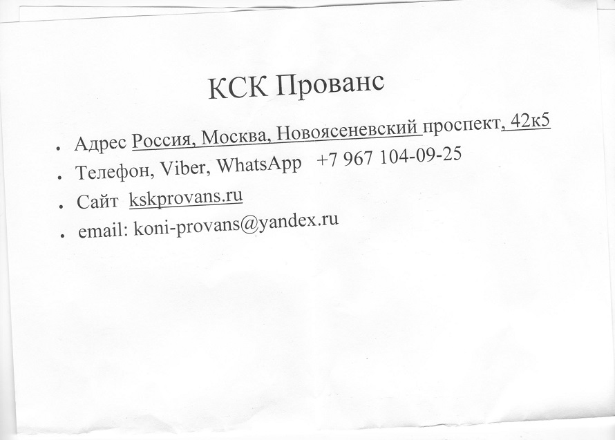 К Анатолию Кузичеву. О дружбе