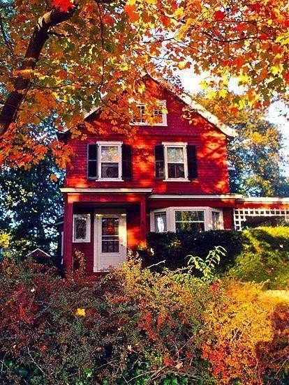 06. Холодно в доме!