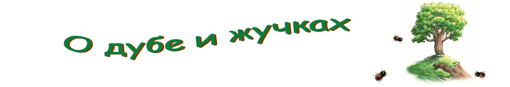 О дубе и жучках