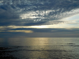 Весна Для Меня...