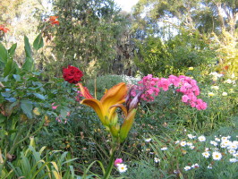 Босиком за Весной