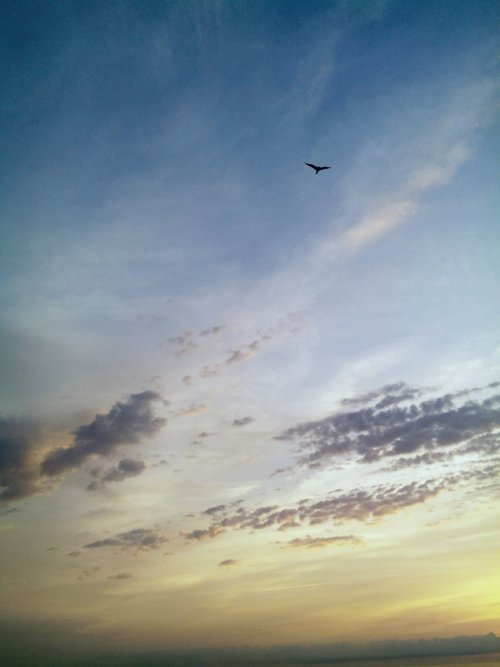 Завтра выходим...