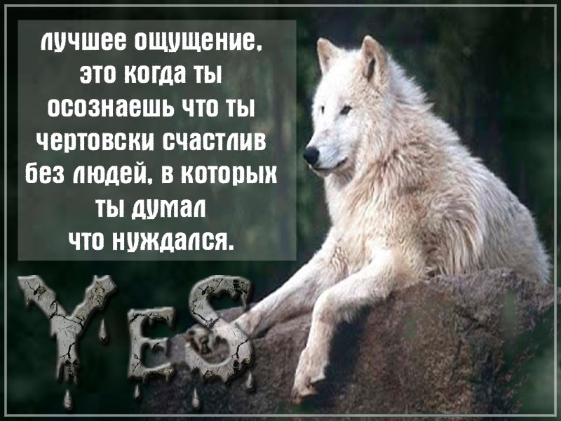 Терпению есть предел картинки