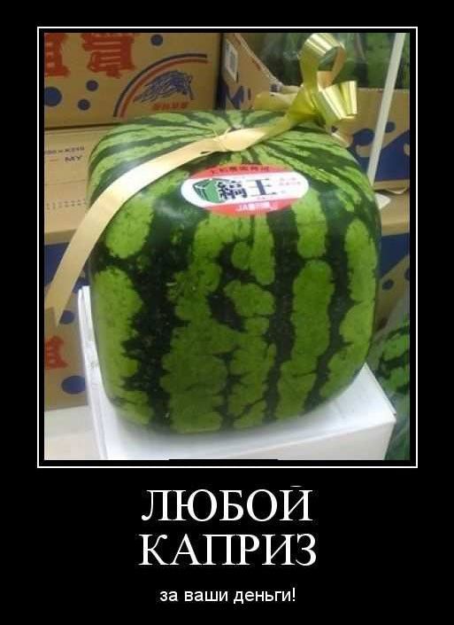 Любой каприз за ваши деньги откуда фраза