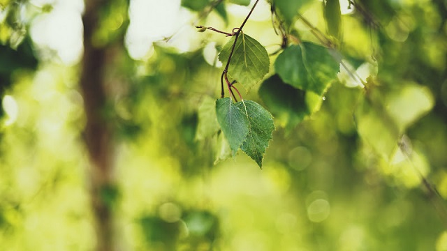 Здесь потише...