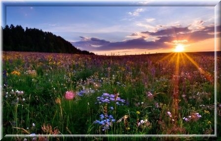 Природа души