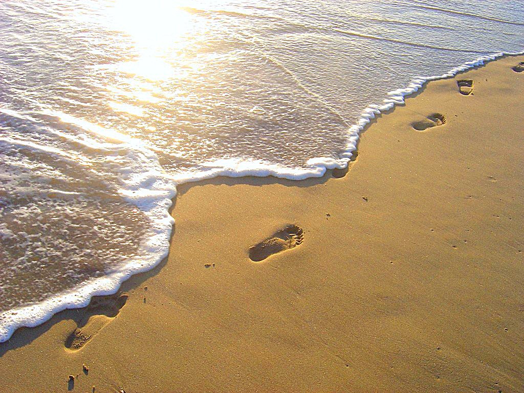 Как быстро всякий раз уходит лето...