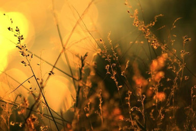 Ты навсегда