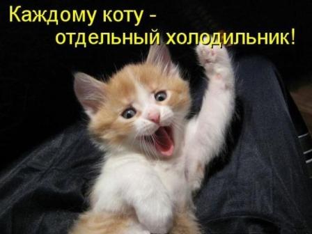 И мне тоже надо!