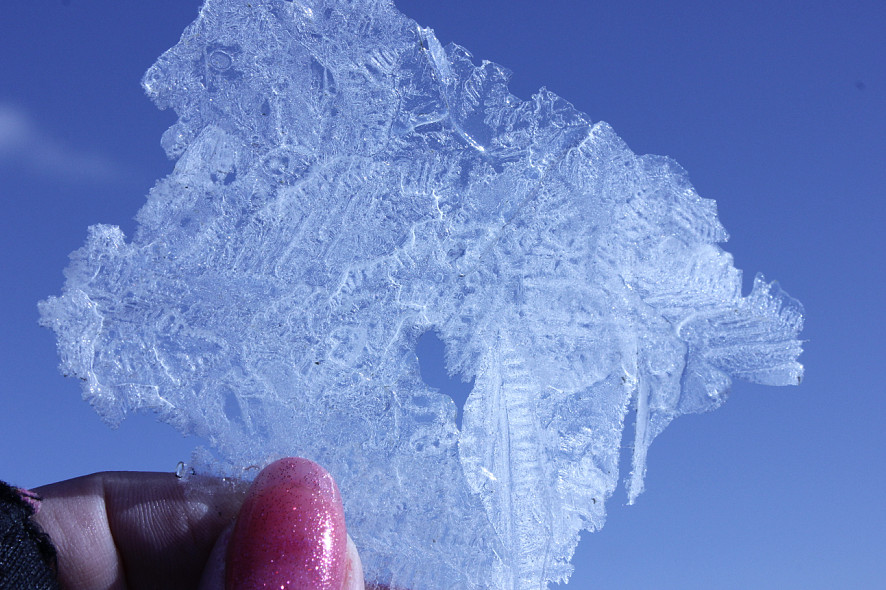 Нежная душа