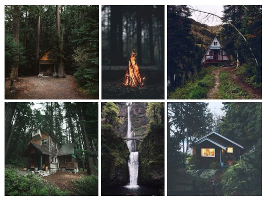 Сердце вольной породы