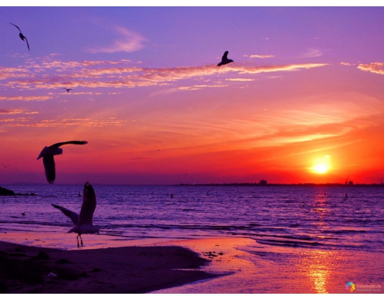 Нарисую закат