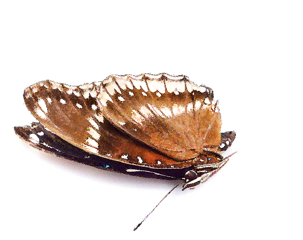 Последний круг