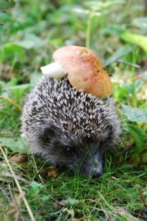 Кто успеет...