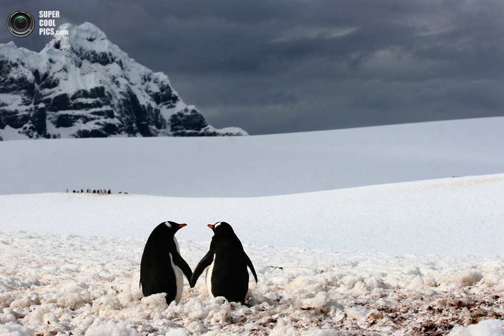 А я не знаю, что с тобой...