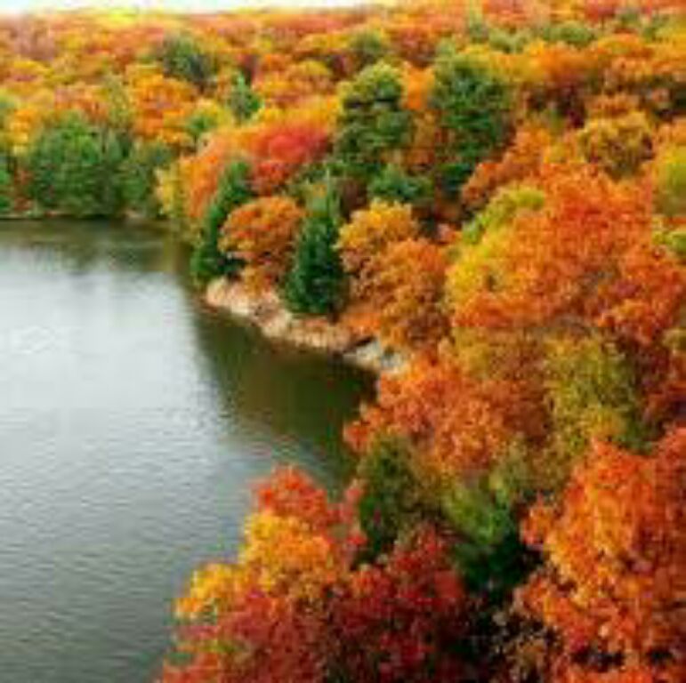 Используй шанс