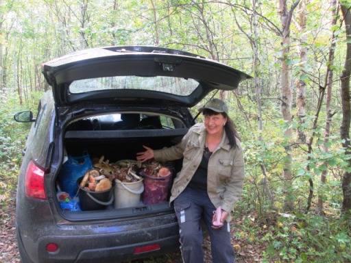 Всего и было-то...