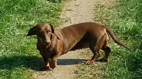 Герде 28. 08. 2017