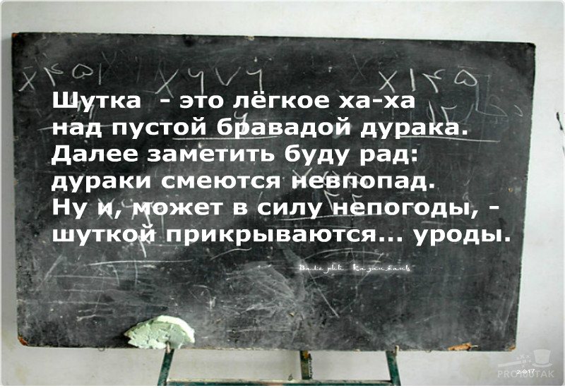 занудство афоризмы. осел смеется. дурак смеется. юмор смех до слез. дурак смеется.